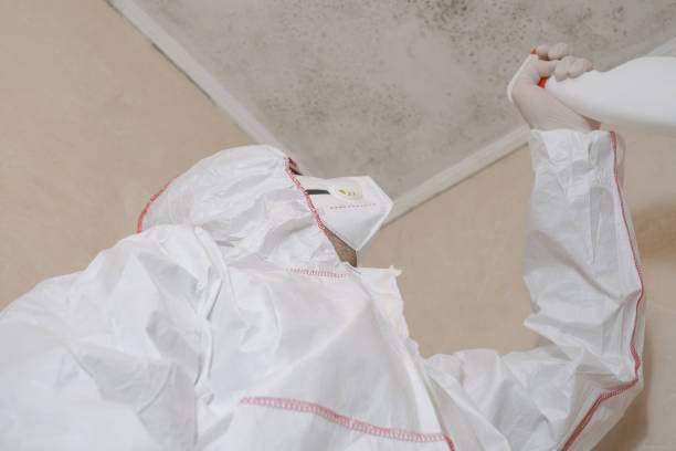 Best Mold Testing  in Corning, AR